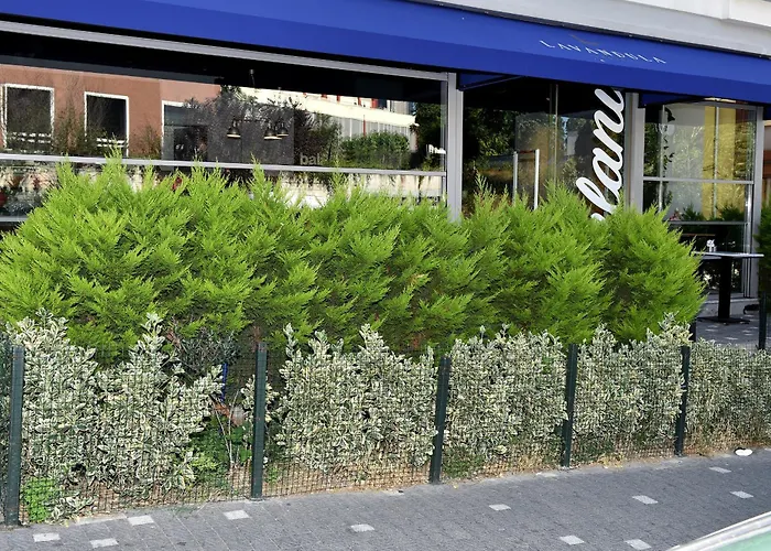 Levent Lavandula Hotel