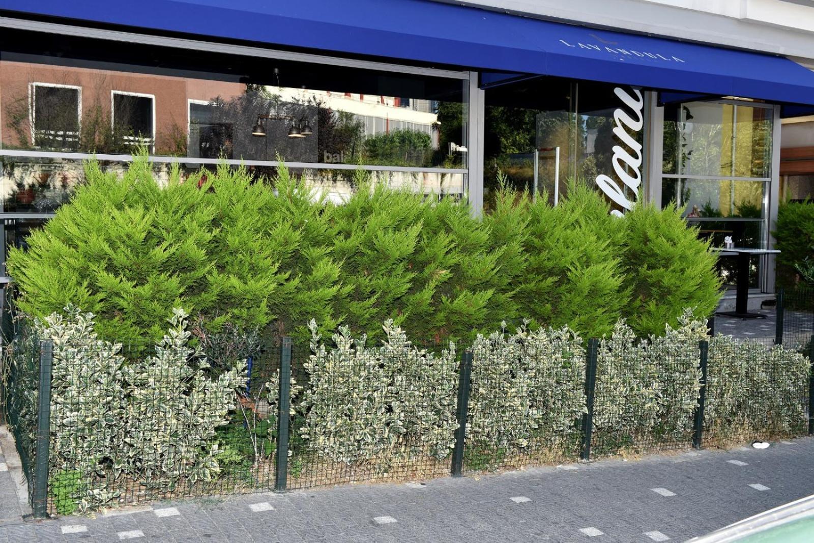 Отель Levent Lavandula Стамбул